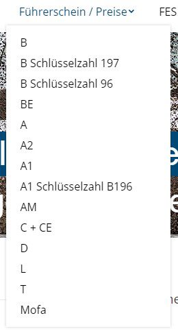 Im Bild ist die Navigation einer regionalen Fahrschule vor unseren Optimierungen zu sehen